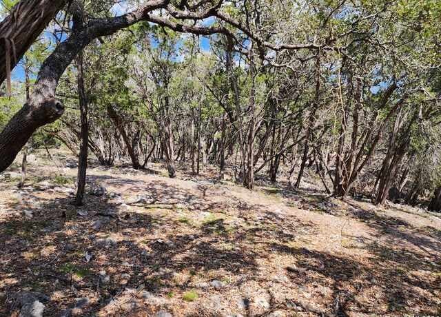 LOT 18/19  Forest Lake Dr, Spring Branch, TX 78070 — photo 9