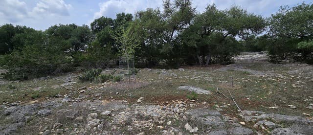 615  Rittimann Rd, Spring Branch, TX 78070 — photo 10