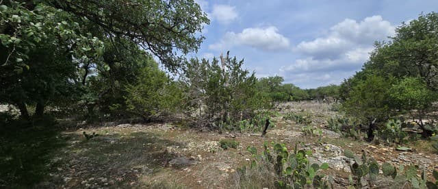 615  Rittimann Rd, Spring Branch, TX 78070 — photo 12