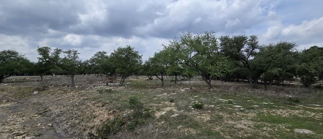 615  Rittimann Rd, Spring Branch, TX 78070 — photo 18