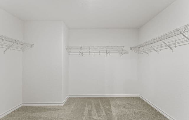 416  Raven Row, Marion, TX 78124 — photo 22