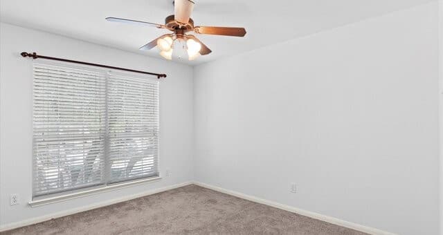 8818 Ash Meadow Dr, Universal City, TX 78148 — photo 15