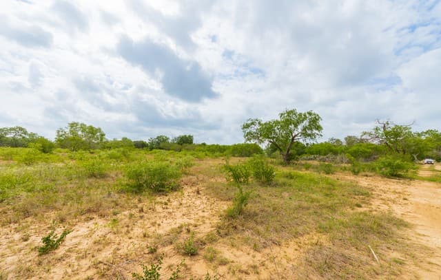 12488  S Us Highway 181, San Antonio, TX 78223 — photo 10