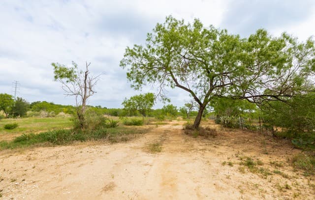 12488  S Us Highway 181, San Antonio, TX 78223 — photo 13