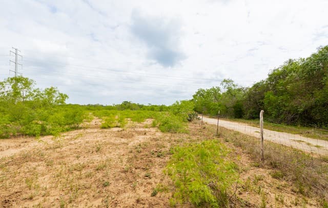 12488  S Us Highway 181, San Antonio, TX 78223 — photo 9