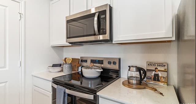 14821  Gold Lace Cactus, San Antonio, TX 78221 — photo 10