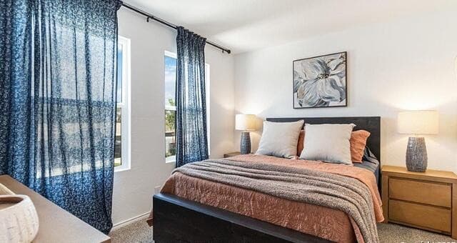 14821  Gold Lace Cactus, San Antonio, TX 78221 — photo 11