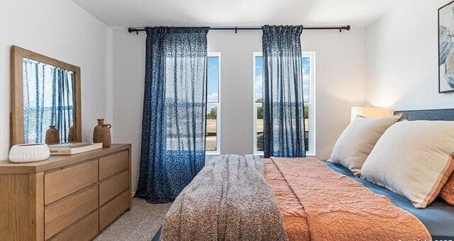 14821  Gold Lace Cactus, San Antonio, TX 78221 — photo 12