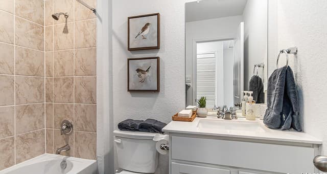 14821  Gold Lace Cactus, San Antonio, TX 78221 — photo 16