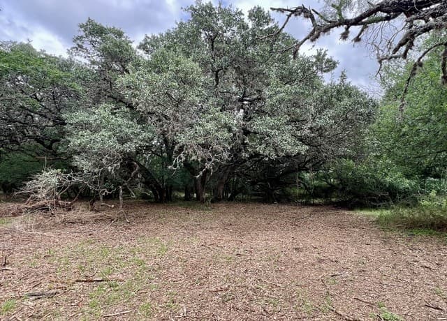 0  Low Bid Ln, San Antonio, TX 78250 — photo 10