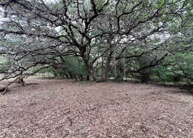 0  Low Bid Ln, San Antonio, TX 78250 — photo 11