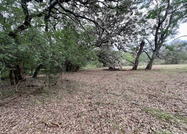 0  Low Bid Ln, San Antonio, TX 78250 — photo 17