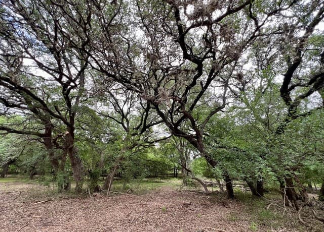 0  Low Bid Ln, San Antonio, TX 78250 — photo 18