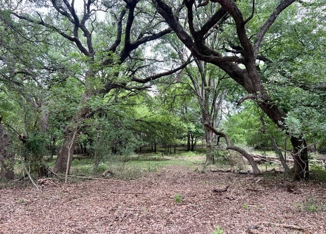 0  Low Bid Ln, San Antonio, TX 78250 — photo 19