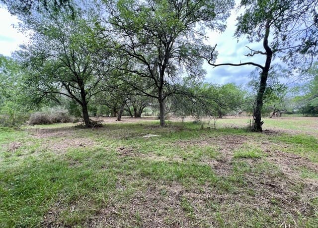 0  Low Bid Ln, San Antonio, TX 78250 — photo 20