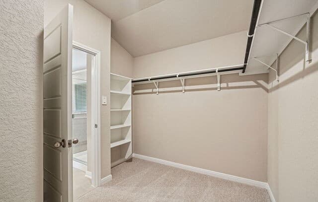 10259  King Robert, San Antonio, TX 78239 — photo 23