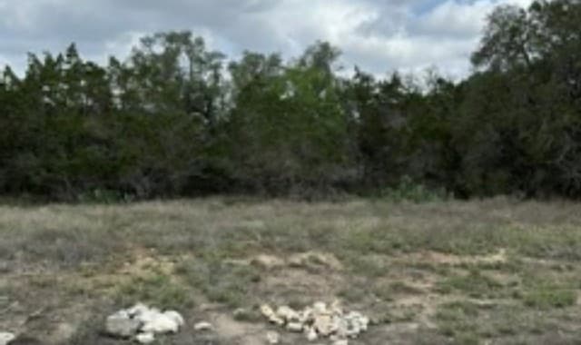 183  Fossil, Spring Branch, TX 78070 — photo 10