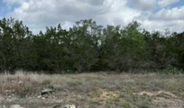 183  Fossil, Spring Branch, TX 78070 — photo 11