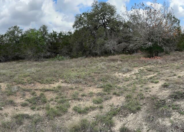 183  Fossil, Spring Branch, TX 78070 — photo 2