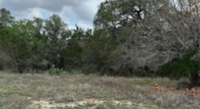 183  Fossil, Spring Branch, TX 78070 — photo 3