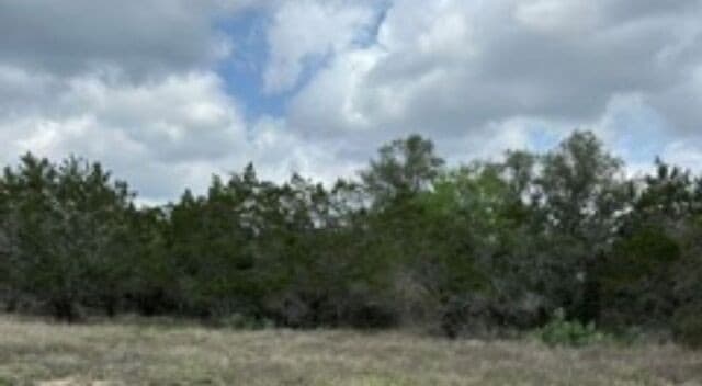 183  Fossil, Spring Branch, TX 78070 — photo 5