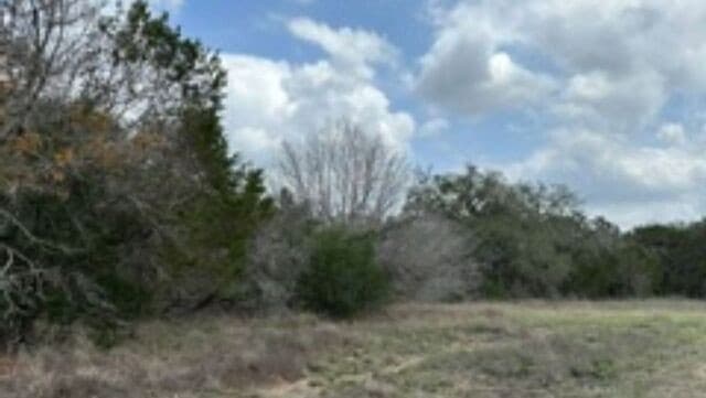 183  Fossil, Spring Branch, TX 78070 — photo 6