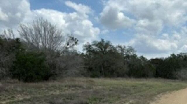183  Fossil, Spring Branch, TX 78070 — photo 7
