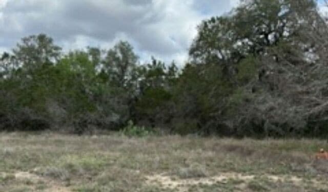 183  Fossil, Spring Branch, TX 78070 — photo 8