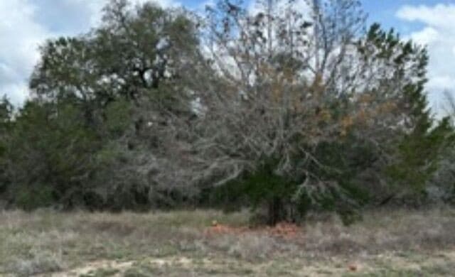 183  Fossil, Spring Branch, TX 78070 — photo 9