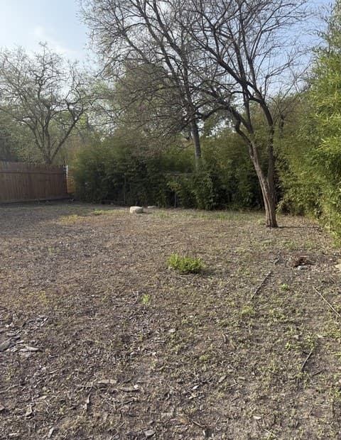 3107  Saunders Ave, San Antonio, TX 78207 — photo 3