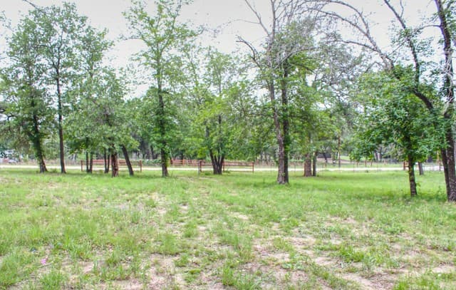 278  County Road 6862, Natalia, TX 78059 — photo 2
