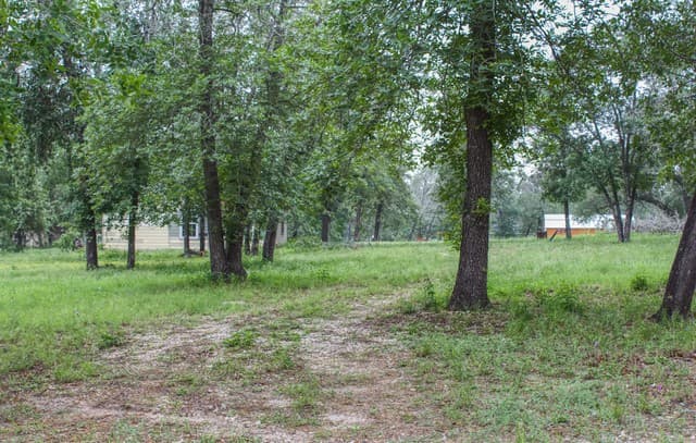 278  County Road 6862, Natalia, TX 78059 — photo 3