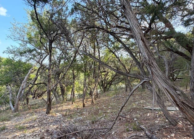 1362  Rockmoor, Canyon Lake, TX 78133 — photo 12