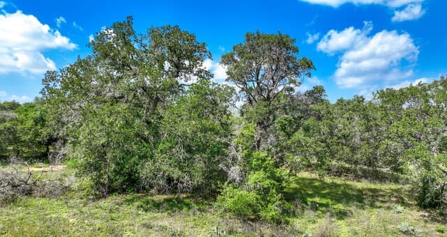 108  Misty Bend, Floresville, TX 78114 — photo 14