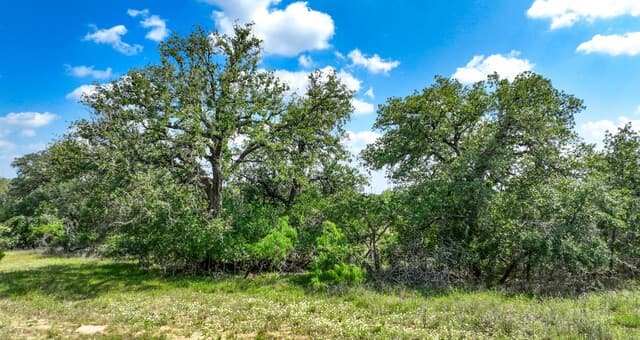 108  Misty Bend, Floresville, TX 78114 — photo 16