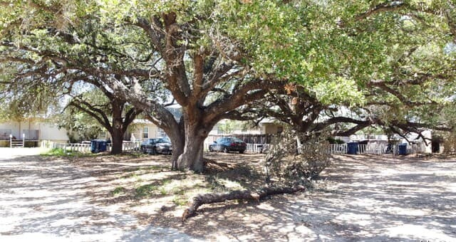 128  Winship Rd, Pleasanton, TX 78064 — photo 4