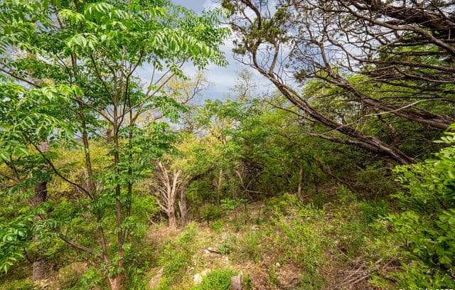 19019  Lookout Mountain Trail, Grey Forest, TX 78023 — photo 23