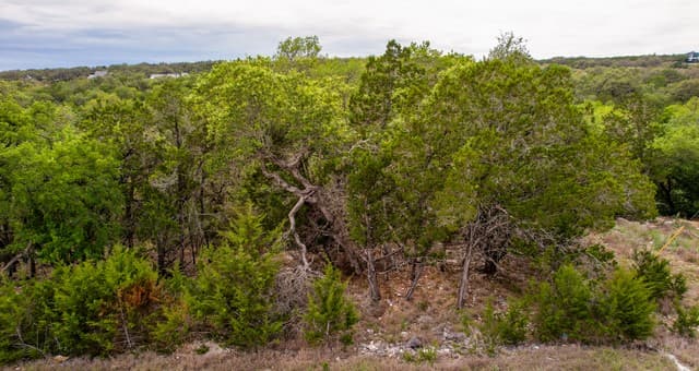 183  Palm, Spring Branch, TX 78070 — photo 7