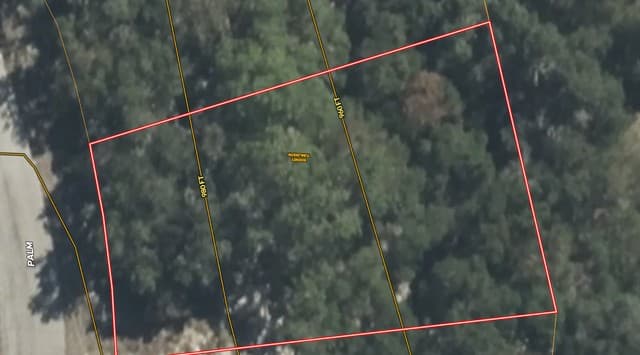 183  Palm, Spring Branch, TX 78070 — photo 8