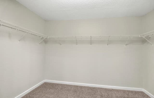 10311  Rosalina Loop, Converse, TX 78109 — photo 20