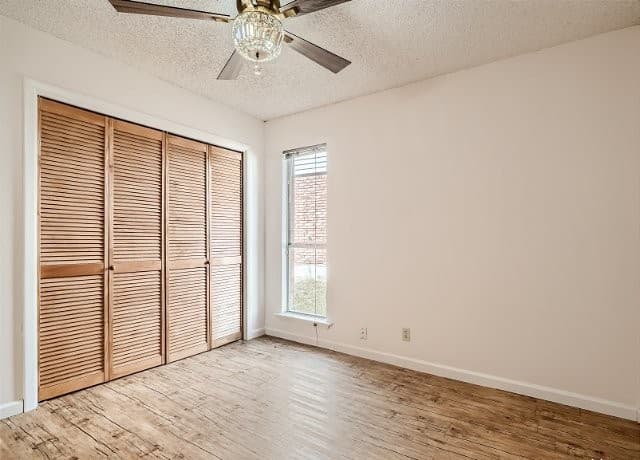 13806  Brays Forest, San Antonio, TX 78217 — photo 10