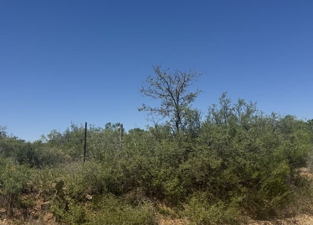 00  Kyote, Bigfoot, TX 78005 — photo 4