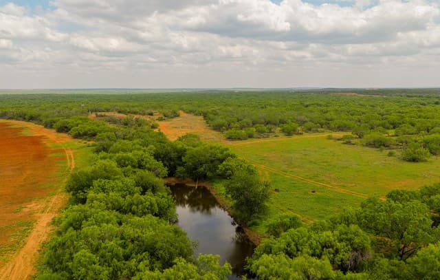TBD  County Road 3000 Keystone, Pearsall, TX 78061 — photo 10