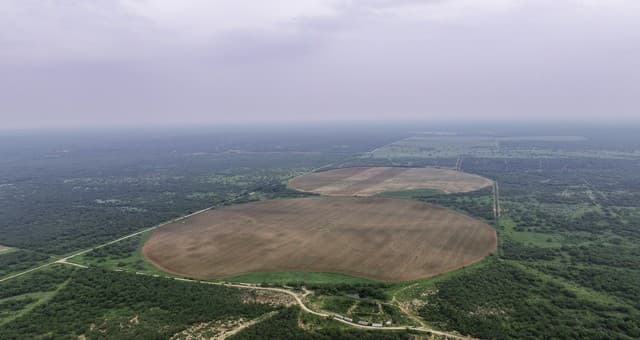 TBD  County Road 3000 Keystone, Pearsall, TX 78061 — photo 13