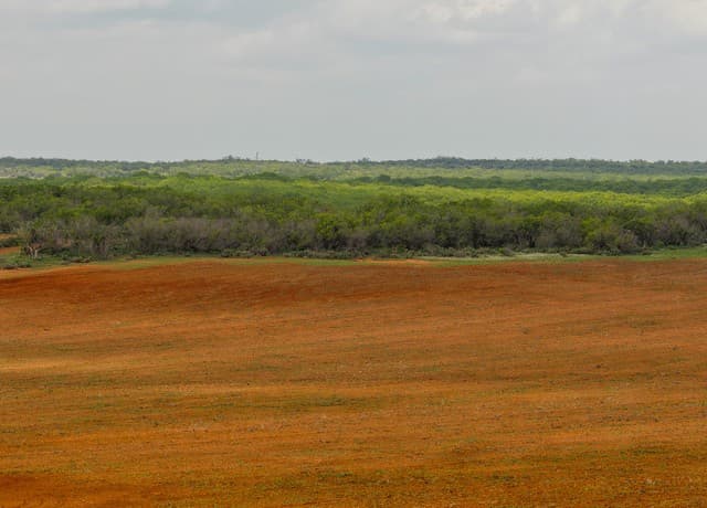 TBD  County Road 3000 Keystone, Pearsall, TX 78061 — photo 18