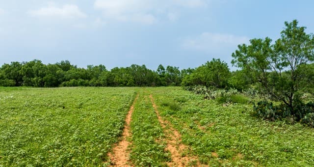 TBD  County Road 3000 Keystone, Pearsall, TX 78061 — photo 22