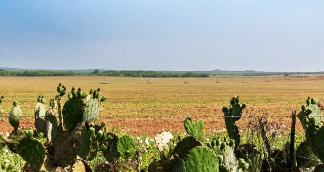 TBD  County Road 3000 Keystone, Pearsall, TX 78061 — photo 3