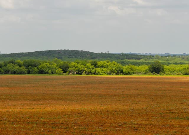 TBD  County Road 3000 Keystone, Pearsall, TX 78061 — photo 4