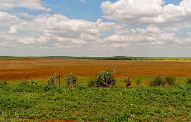 TBD  County Road 3000 Keystone, Pearsall, TX 78061 — photo 8