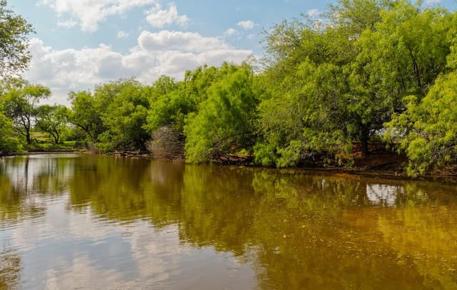 TBD  County Road 3000 Keystone, Pearsall, TX 78061 — photo 9